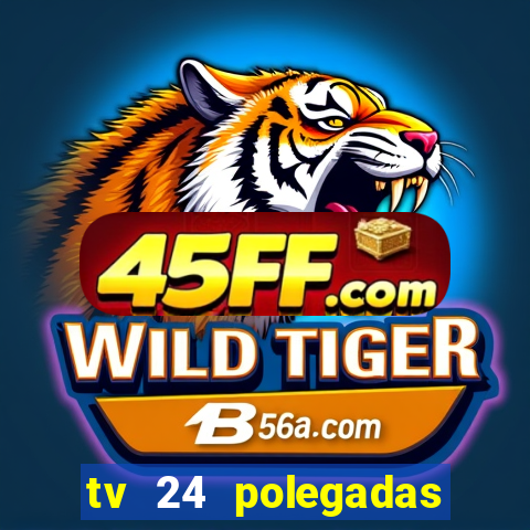 tv 24 polegadas casas bahia